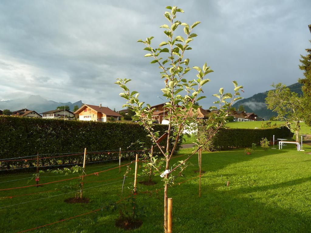 Aeschi Bei Spiez Hotel Restaurant Sunnmatt מראה חיצוני תמונה